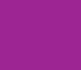 color 9d2593
